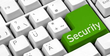 企業(yè)信息安全投資指南 合理預(yù)算與有效防護(hù)